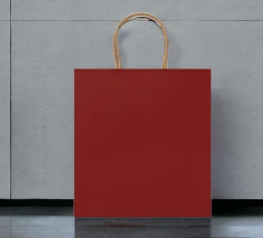 Пакет бумажный HAYA / Крафтовый пакет 22х23х9 см, с короткими усиленными ручками витой формы